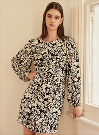 Esmaee  Songbird Dress - Songbird