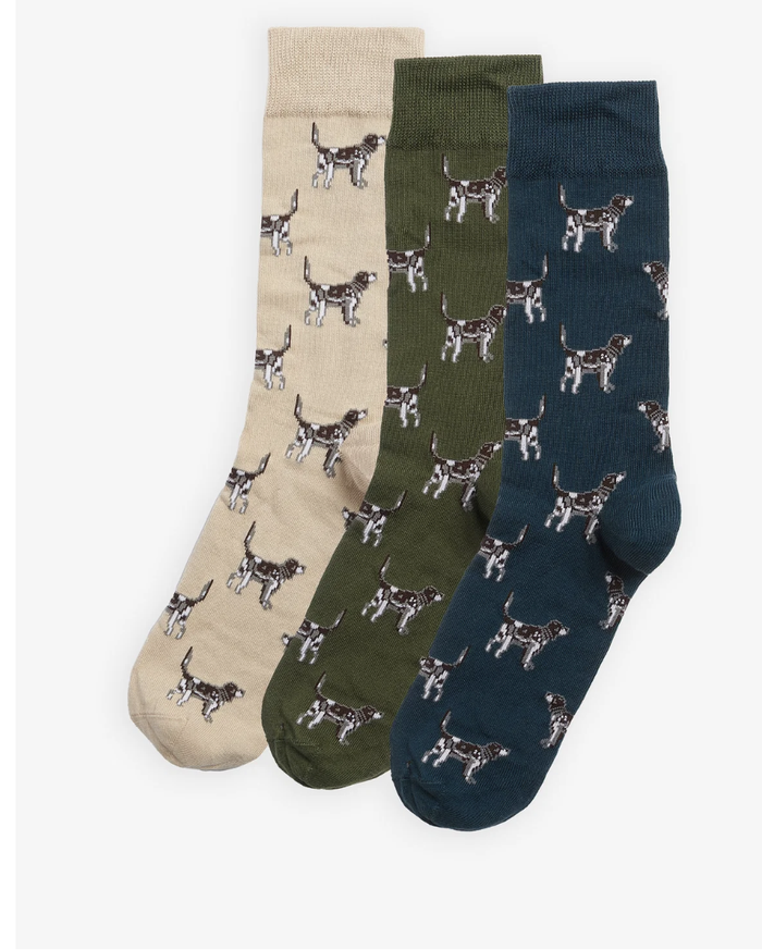 Barbour Pointer Dog Socks Gift Box - Forest Mist