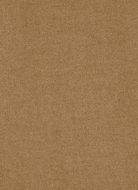 Esmaee Eternal Coat - Camel