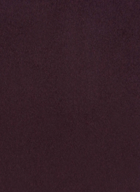 Esmaee Eternal Coat - Wine