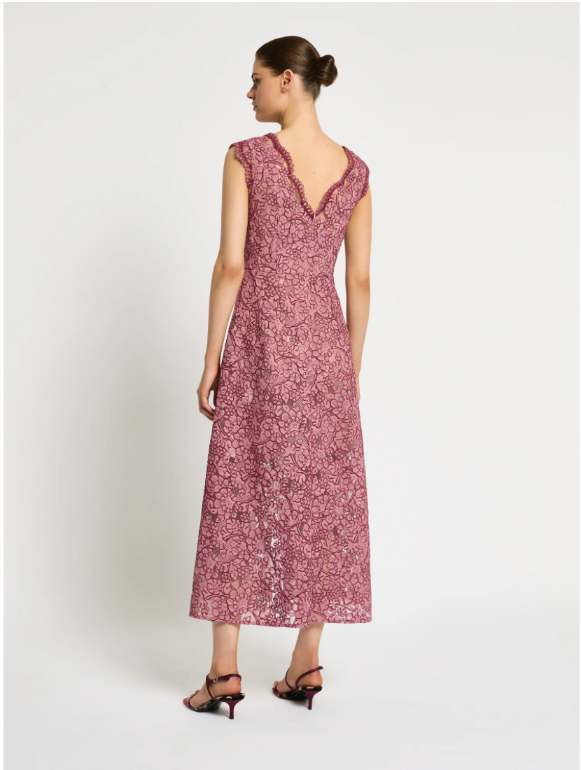 Moss & Spy Lily A-Line Dress - Garnet/Blush