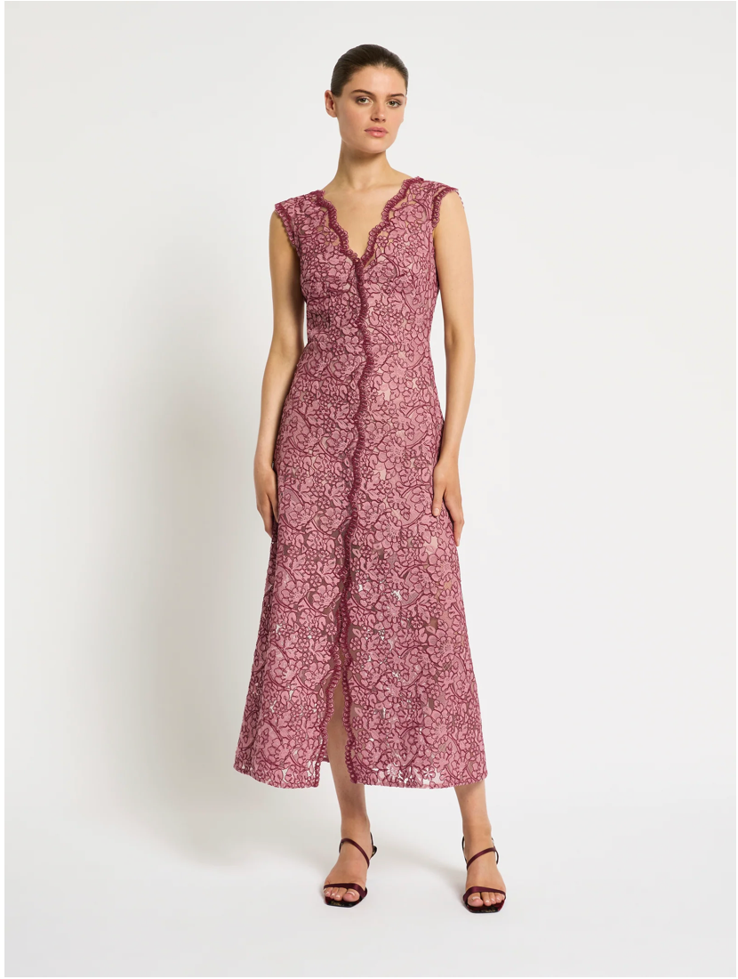 Moss & Spy Lily A-Line Dress - Garnet/Blush