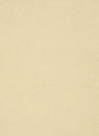 Esmaee Capture Jacket - Cream